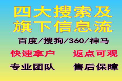 成功SEM投放案例分享